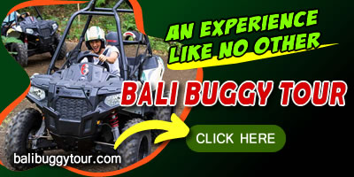 Things To Do in Bali 3
